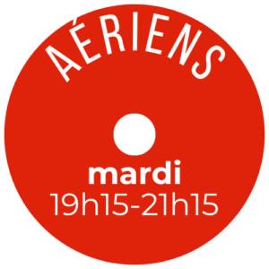 atelier cirque aériens